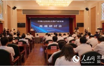 中国（七台河）石墨产业发展高端研讨会启幕 加快推进石墨产业科技成果转化
